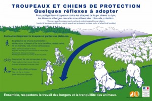 Warning sign about livestock guardian dogs, seen in the French Alps